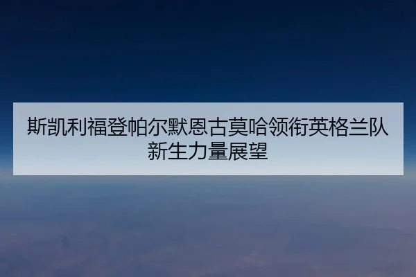 斯凯利福登帕尔默恩古莫哈领衔英格兰队新生力量展望